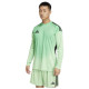 Adidas Ανδρική ποδοσφαιρική φανέλα Tiro 25 Competition Goalkeeper Jersey